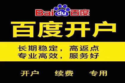 竞价排名优化策略案例分析